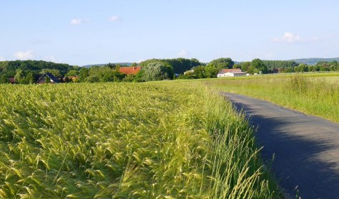 Getreidefeld an der Liegenden Acht, © Stadt Bad Salzuflen/K. Paar