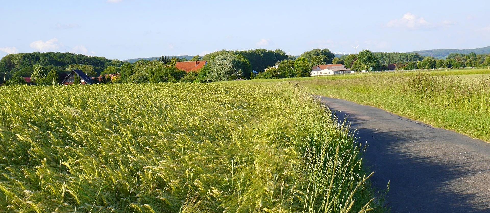 Getreidefeld an der Liegenden Acht, © Stadt Bad Salzuflen/K. Paar