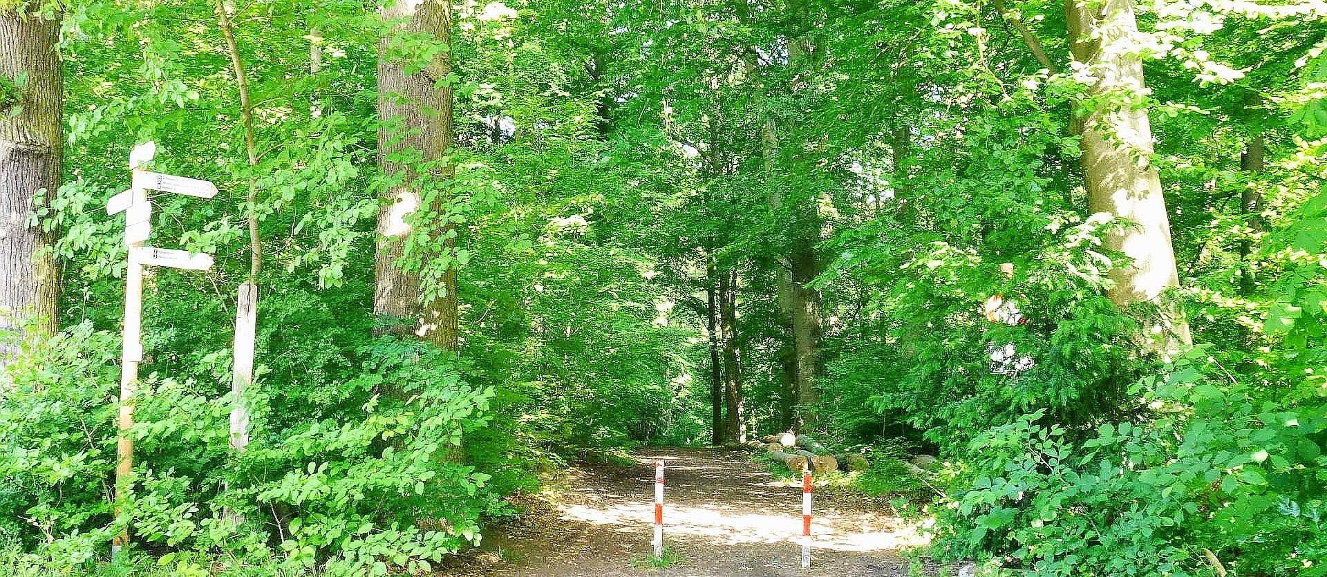 Wandern auf Wanderweg 2, © Stadt Bad Salzuflen/K. Paar