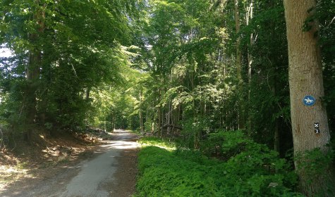 Hansaweg Etappe 1, © Stadt Bad Salzuflen / K. Paar