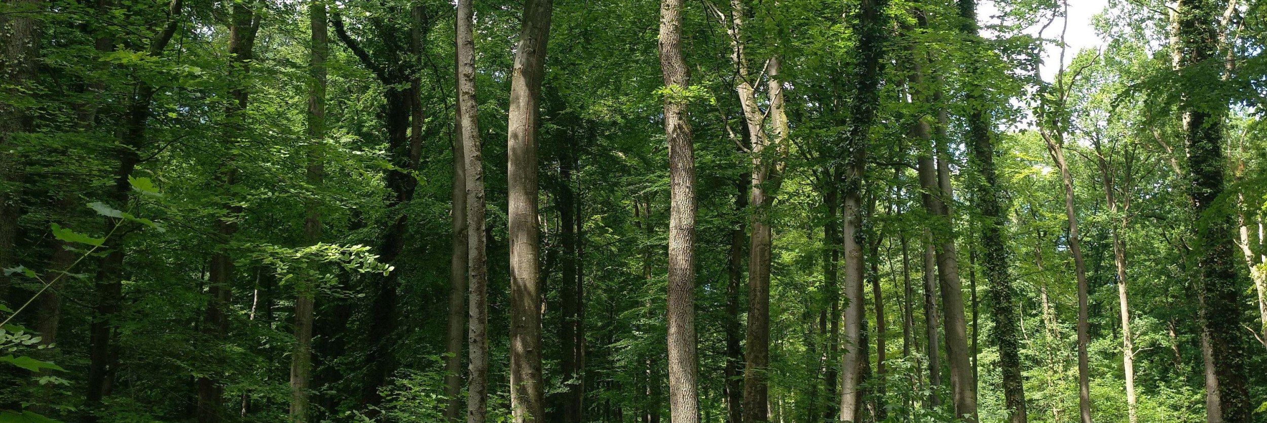 Wanderweg 6, © Stadt Bad Salzuflen/K. Paar