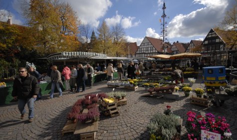 Wochenmarkt Bad Salzuflen, © Stadt Bad Salzuflen