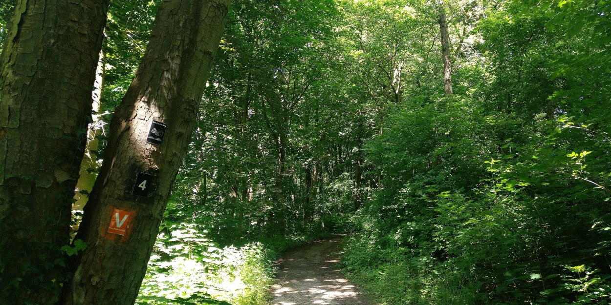 Wanderweg Nr. 4, © Stadt Bad Salzuflen/K. Paar