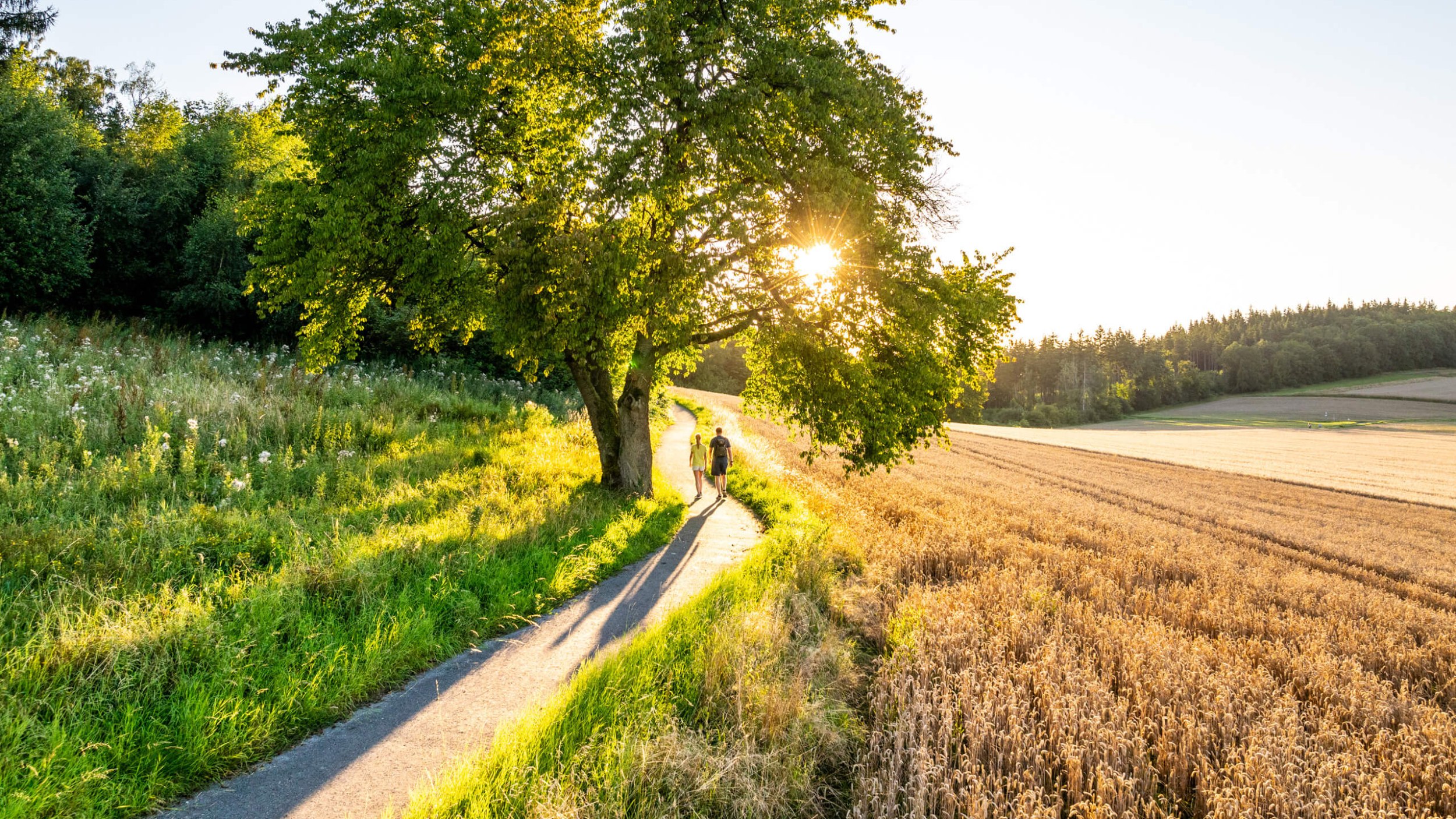 Landschaftsaufnahme über Feld, Wald und Wiesen von Bad Salzuflen im Ortsteil Wüsten. Mittig im Bild führt ein Weg entlang, auf dem 2 Wanderer gehen. Die Sonne geht langsam unter.